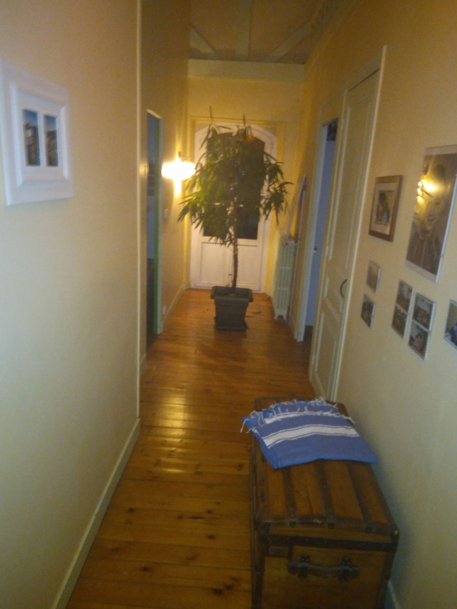 Gastfamilie Vernon 255396