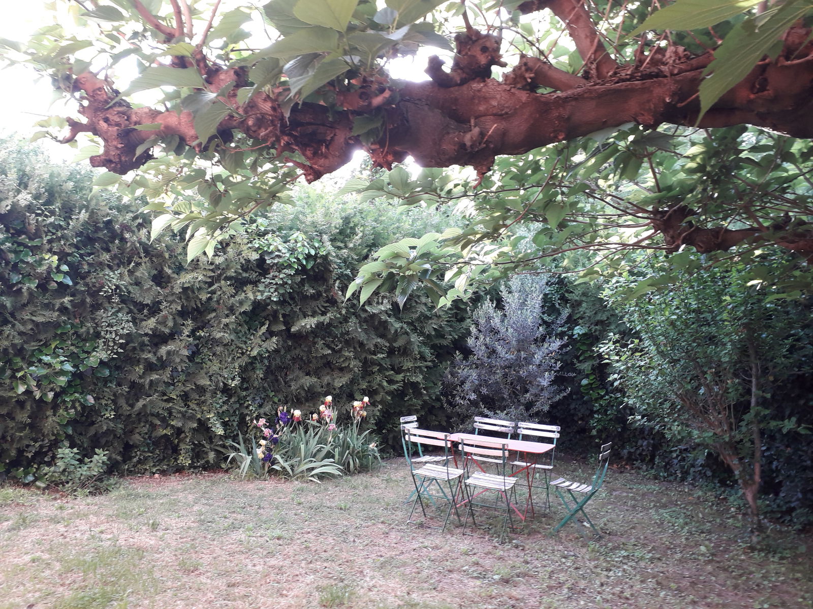 Gastfamilie Montpellier 166015