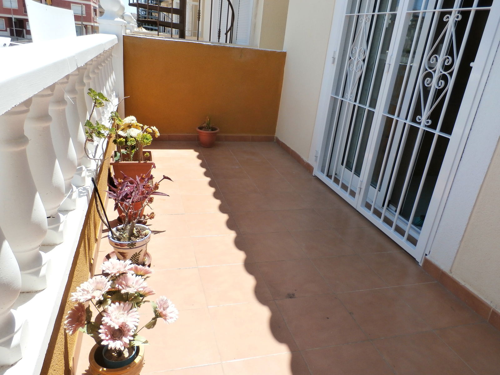 Gastfamilie Los Palacios 127901