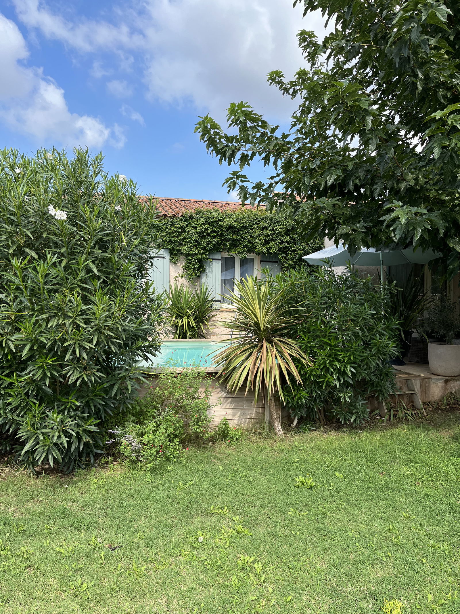 Kolokation Manduel 262127