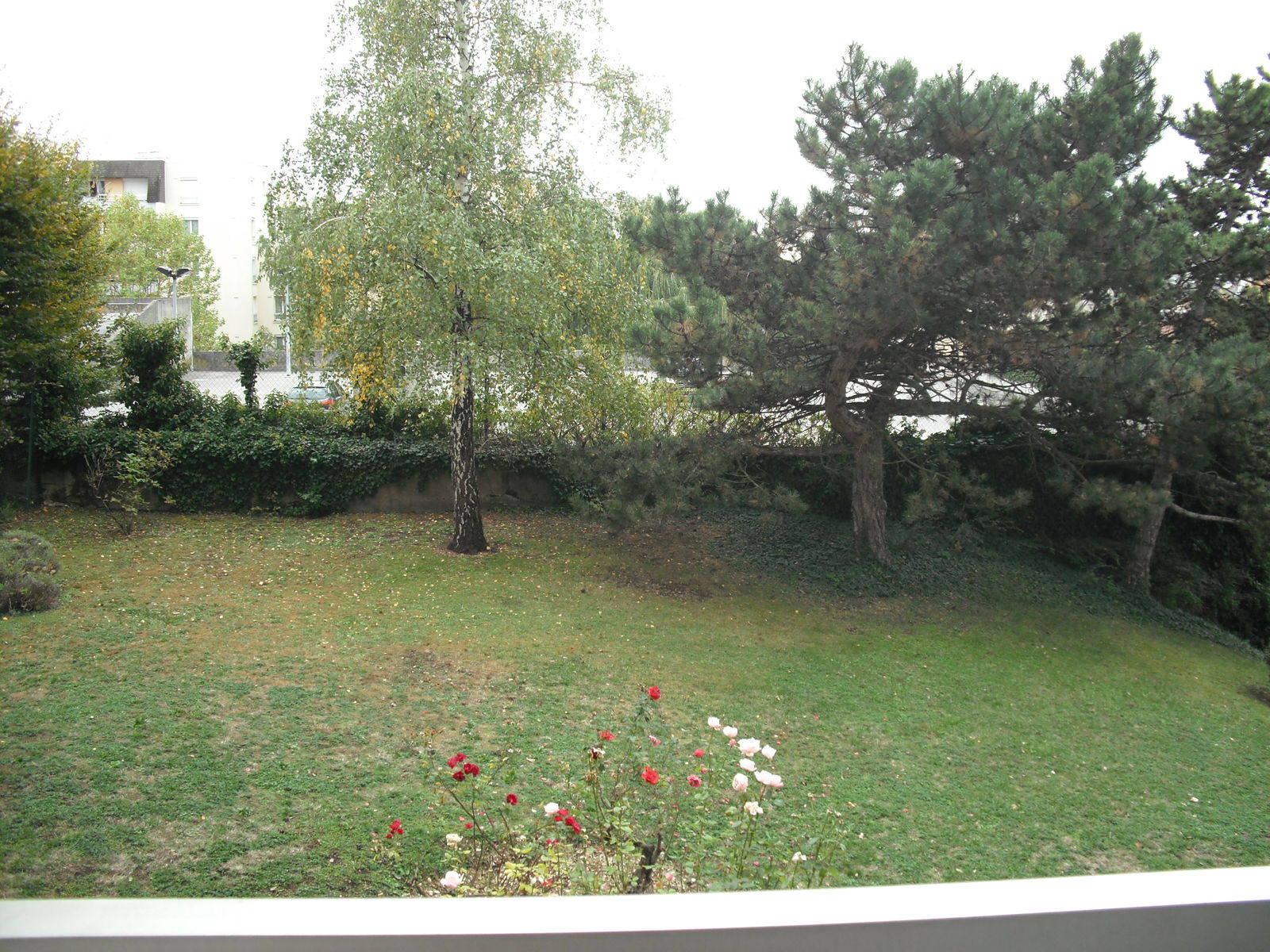 Unabhängiges Studio Dijon 134121