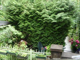 Logement Entier Versailles 53469-6