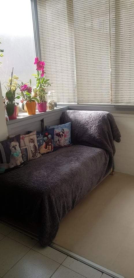 Colocation Grenoble 247366