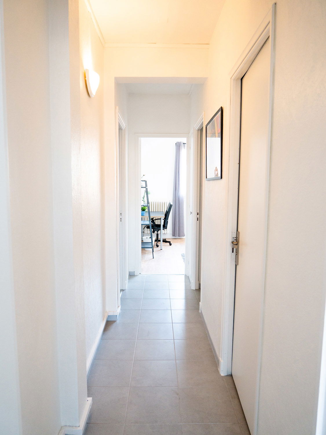 Colocation Toulouse 264390