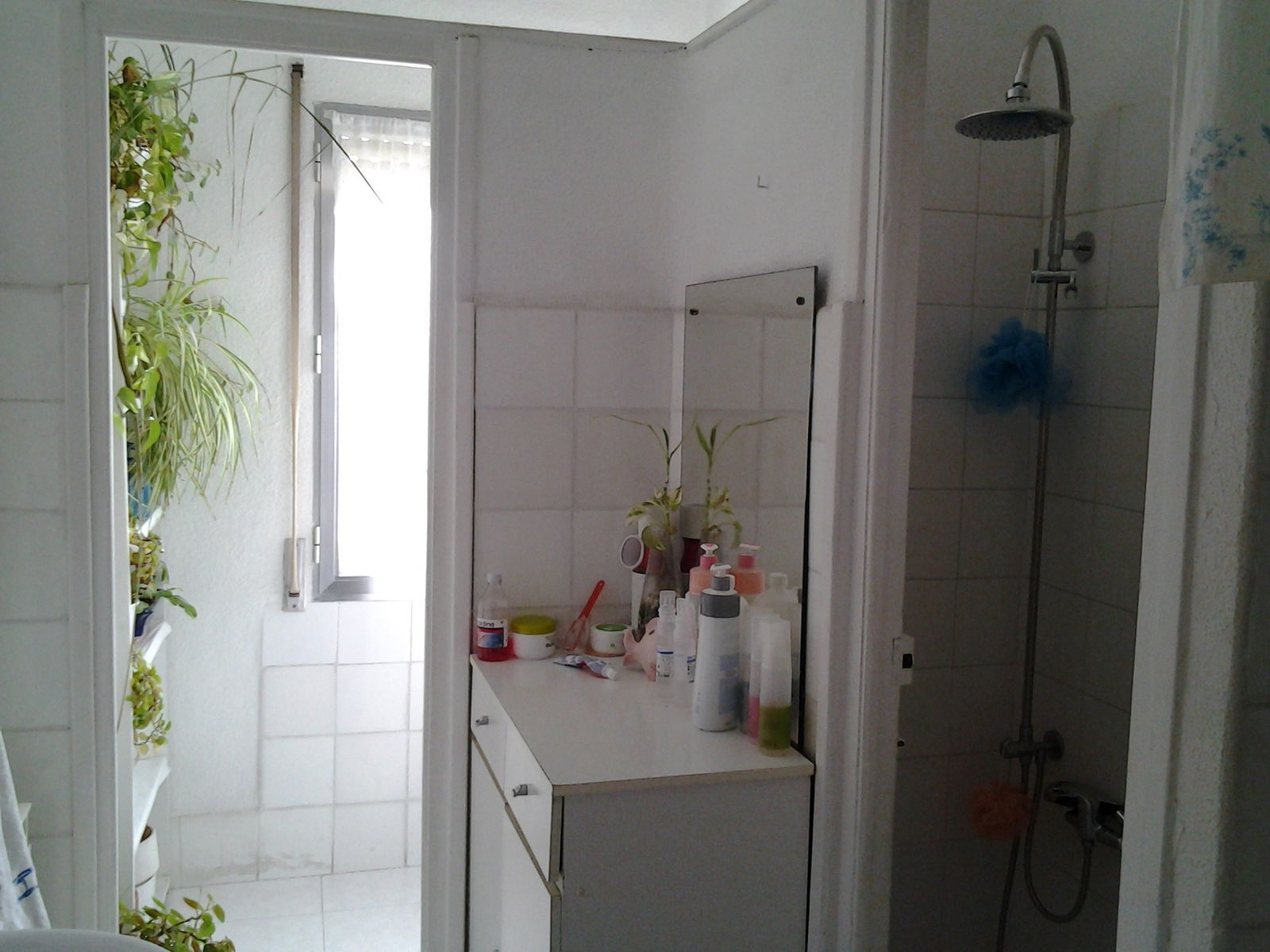 Homestay Madrid 109119