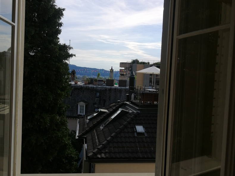 Chambre Chez L'habitant Zürich 250338-5