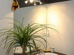 Studio À Louer Marieulles 95207