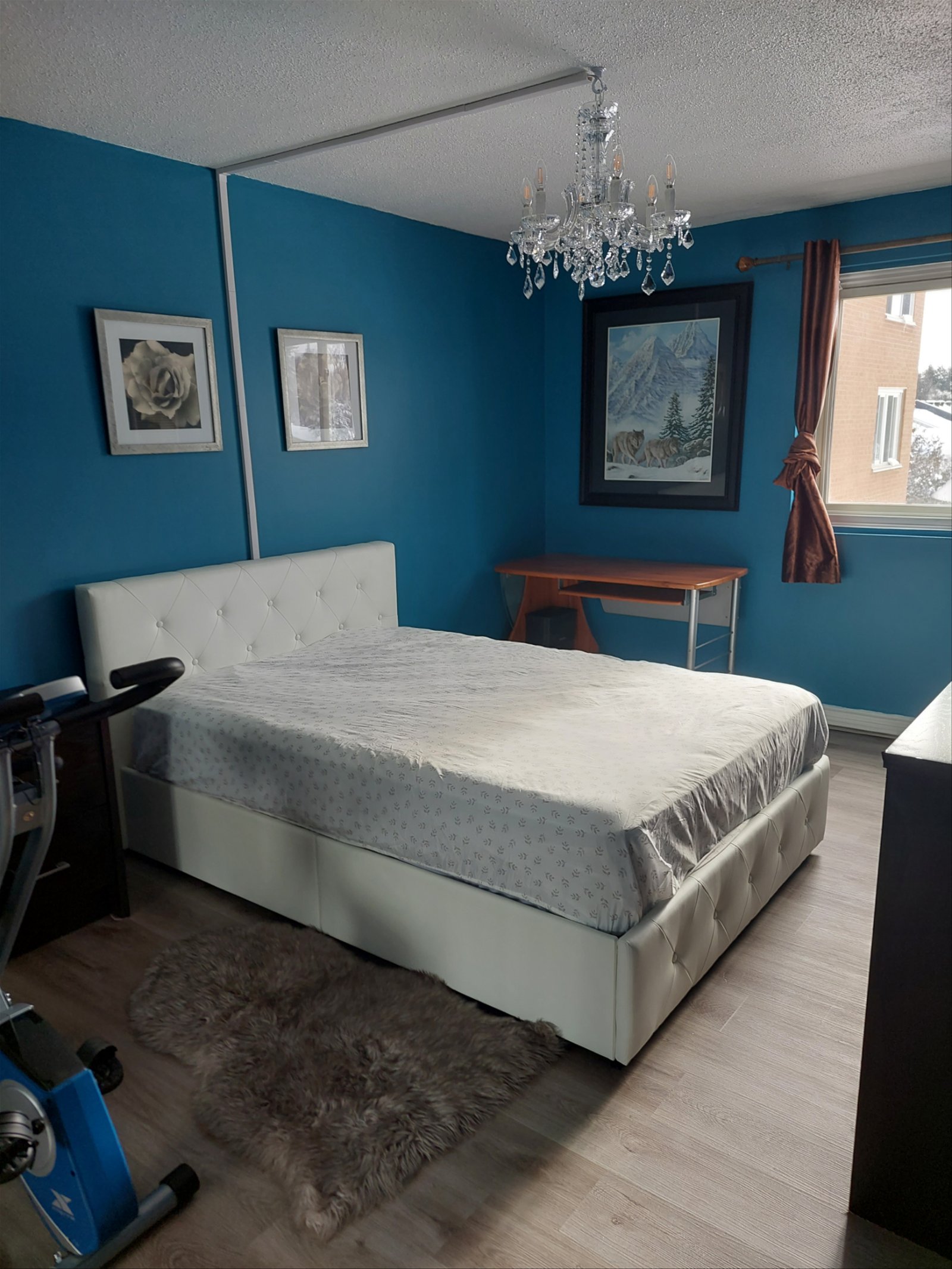 Colocation Ottawa 262478