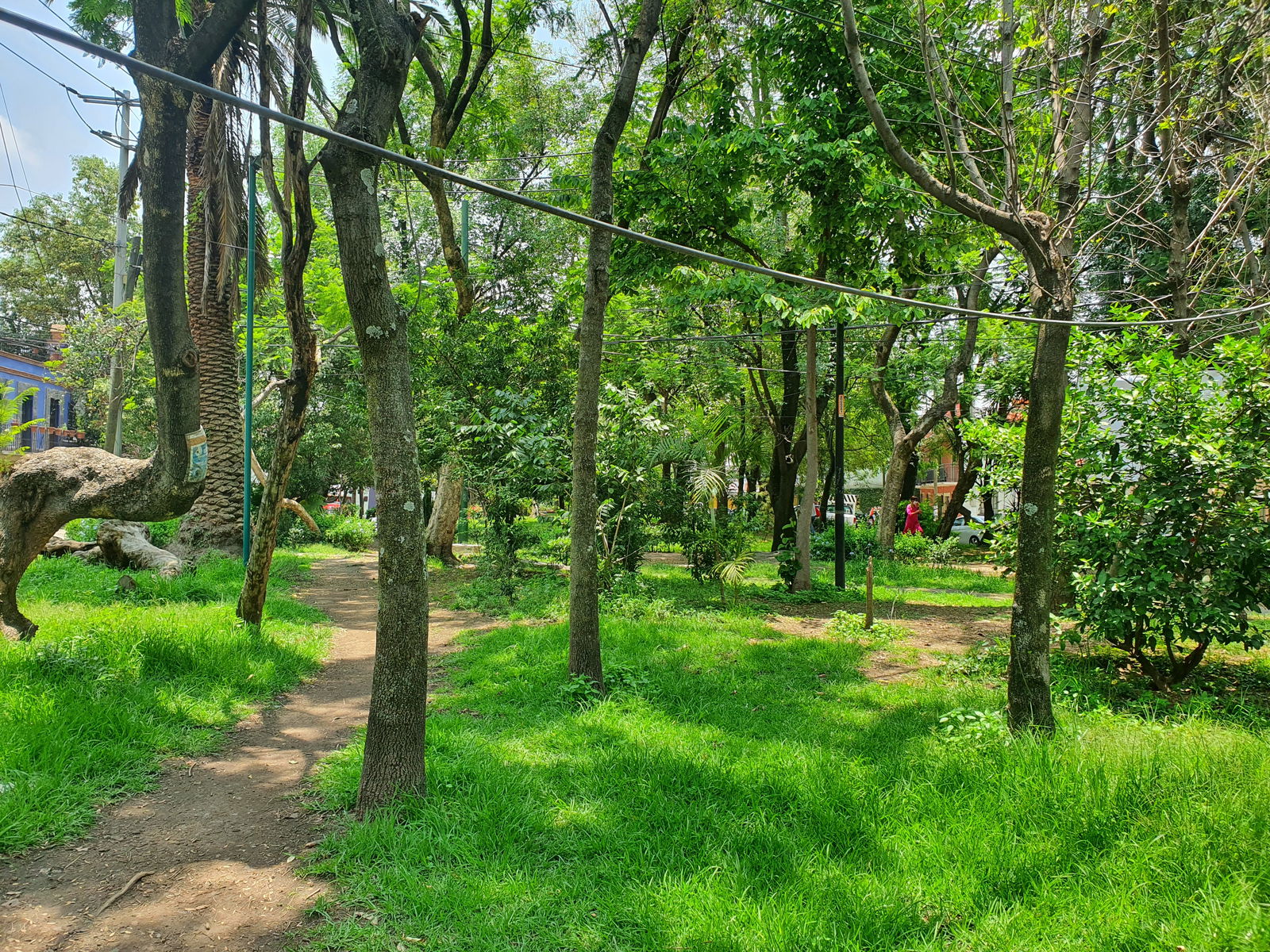 Homestay México D.F. 203649