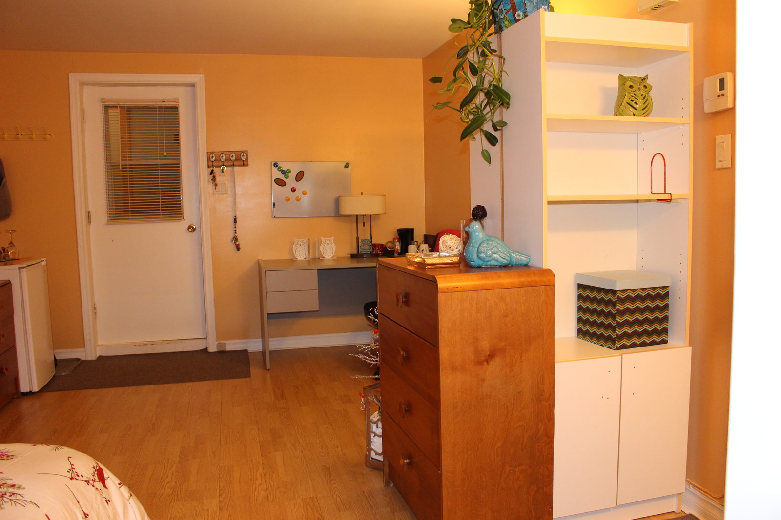 Colocation Ville de Québec 162834