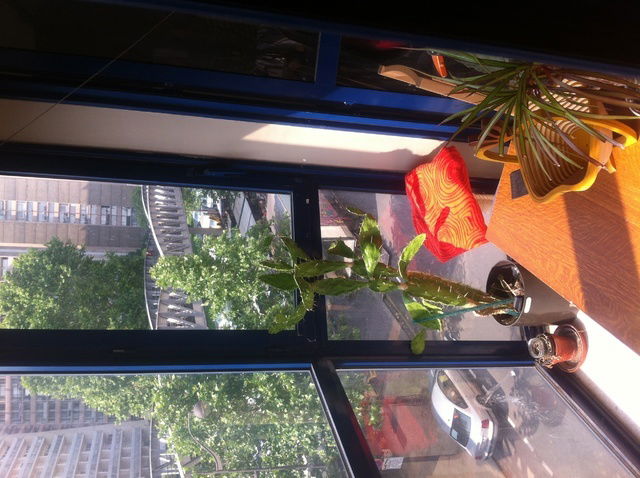 Homestay Paris 50990