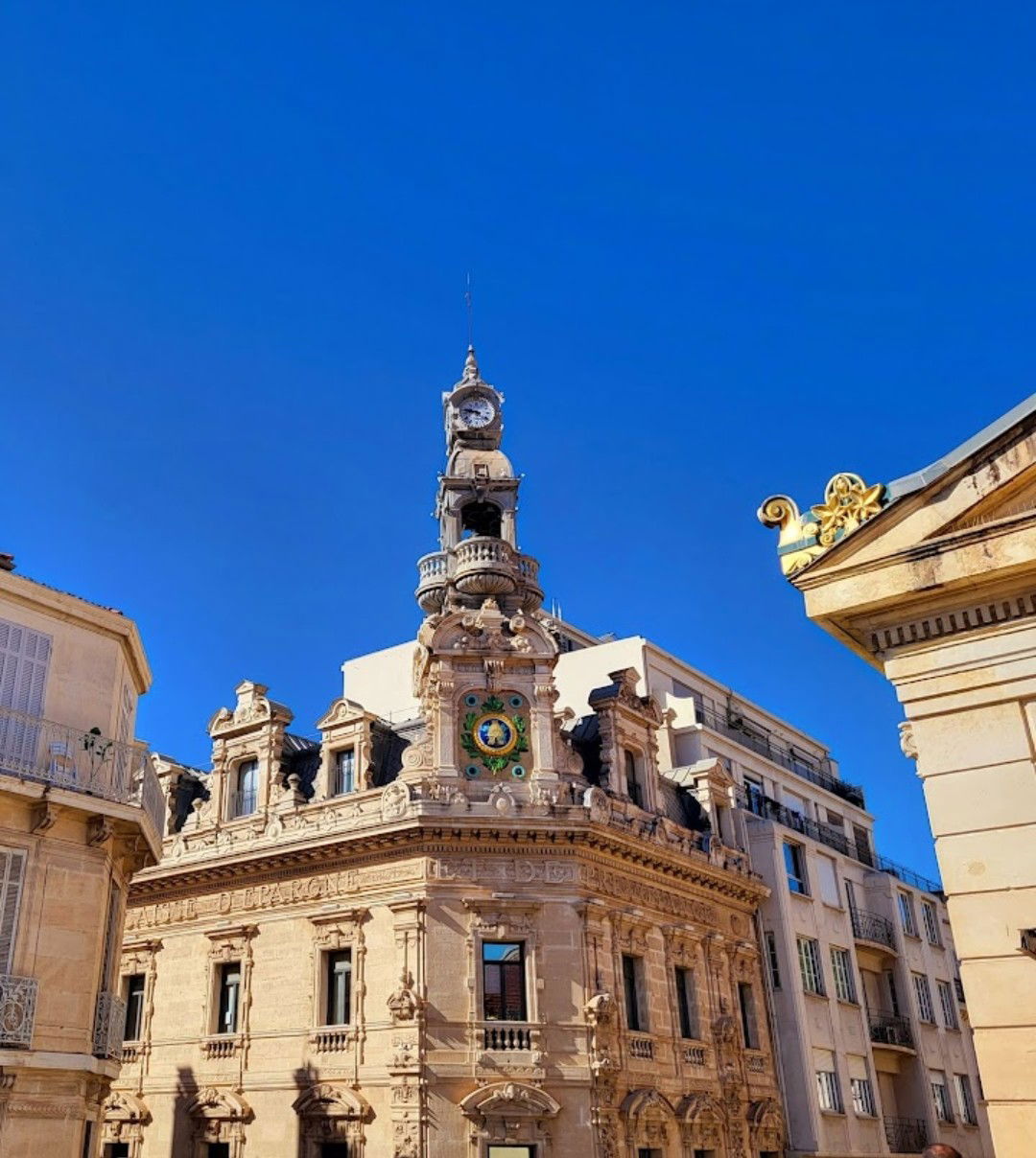 Homestay Toulon 299624