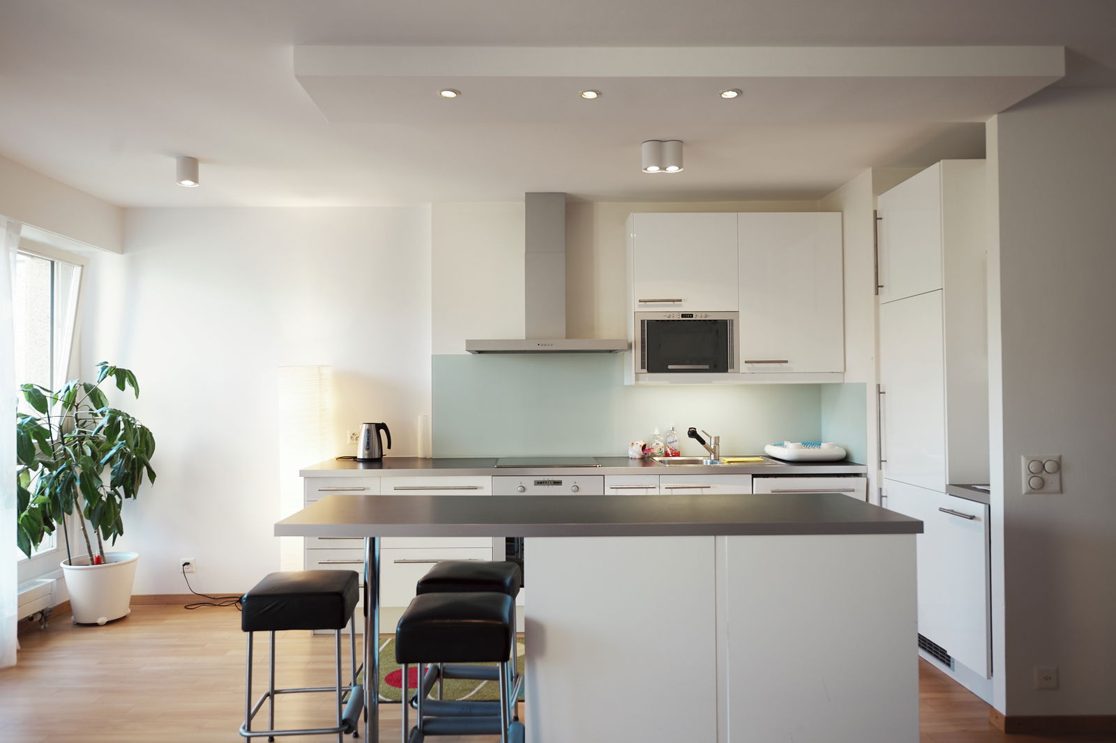 Homestay Epalinges 154233