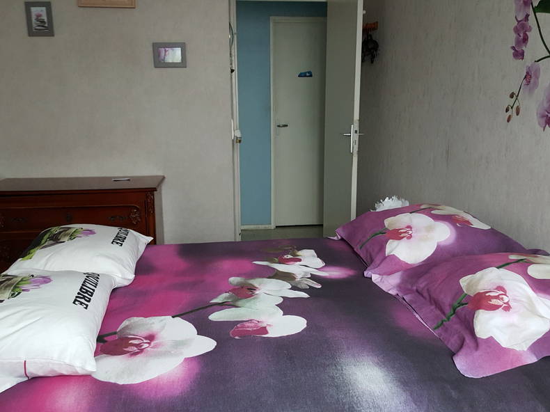 Chambre Chez L'habitant Rennes 215387-1