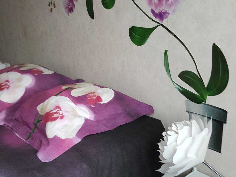 Chambre Chez L'habitant Rennes 215387-2