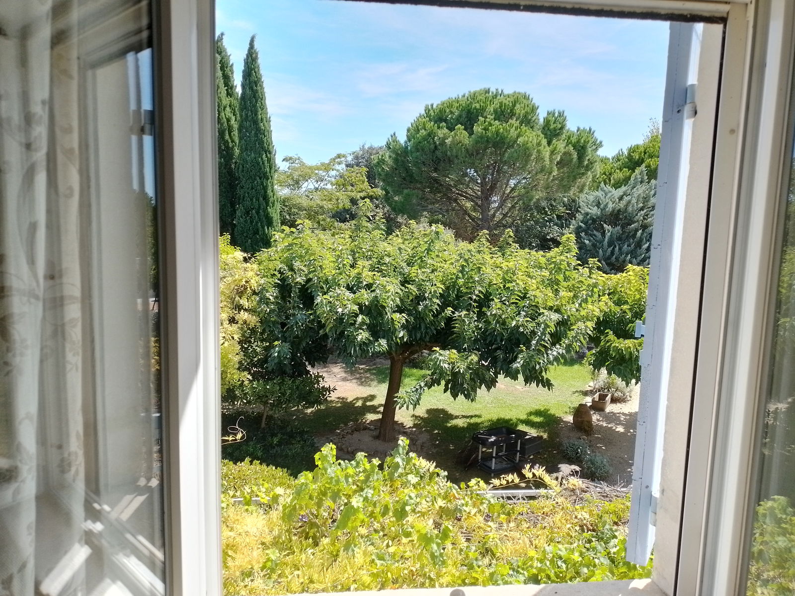 Homestay Maillane 280002