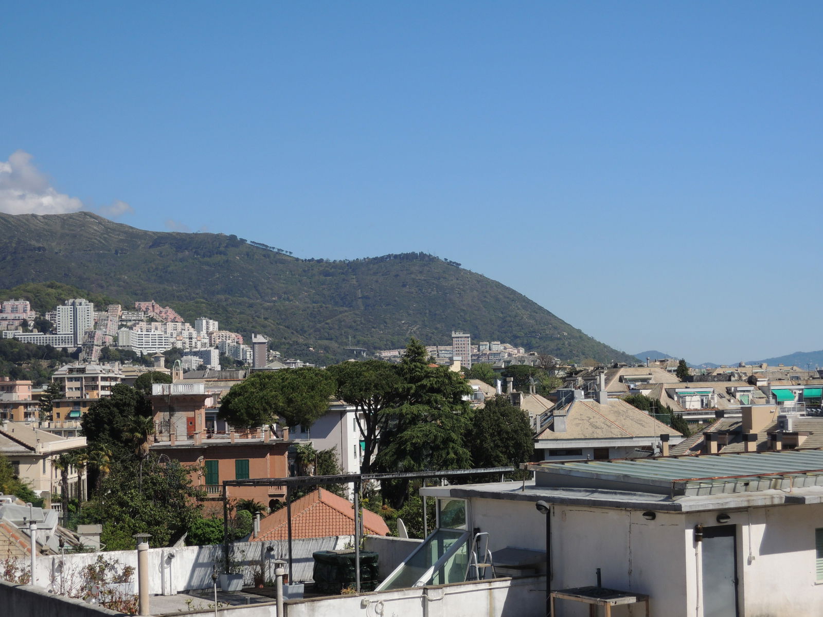 Homestay Genova 229112