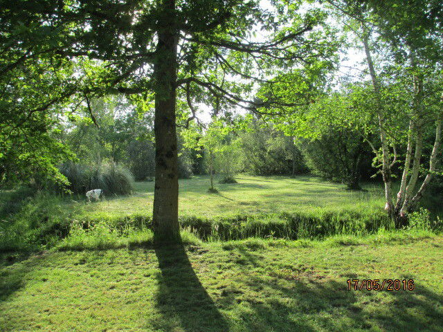 Homestay Gaillan-en-Médoc 142978