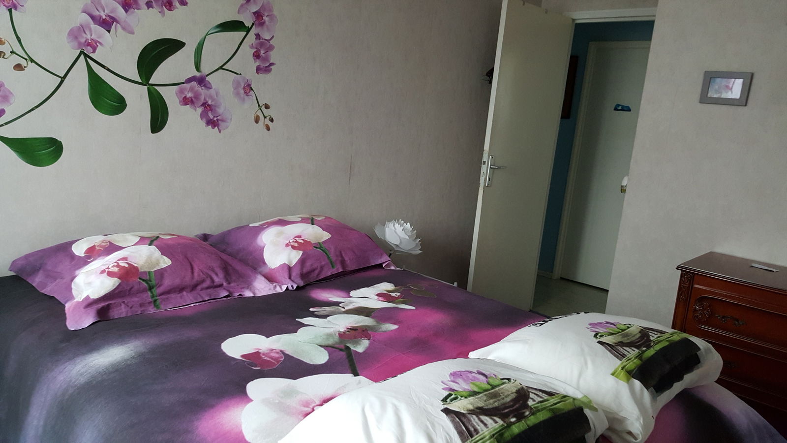 Colocation Rennes 311416