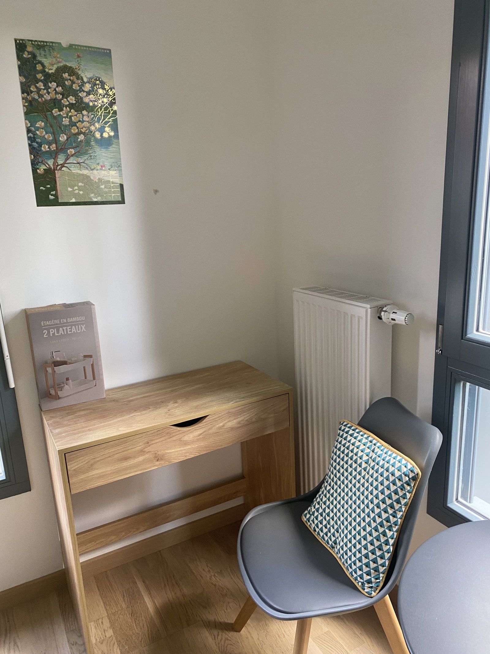 Homestay Lille 250117