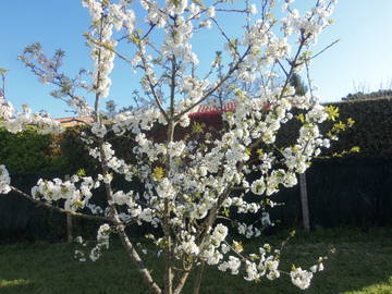 Chambre Chez L'habitant Saujon 182582-4