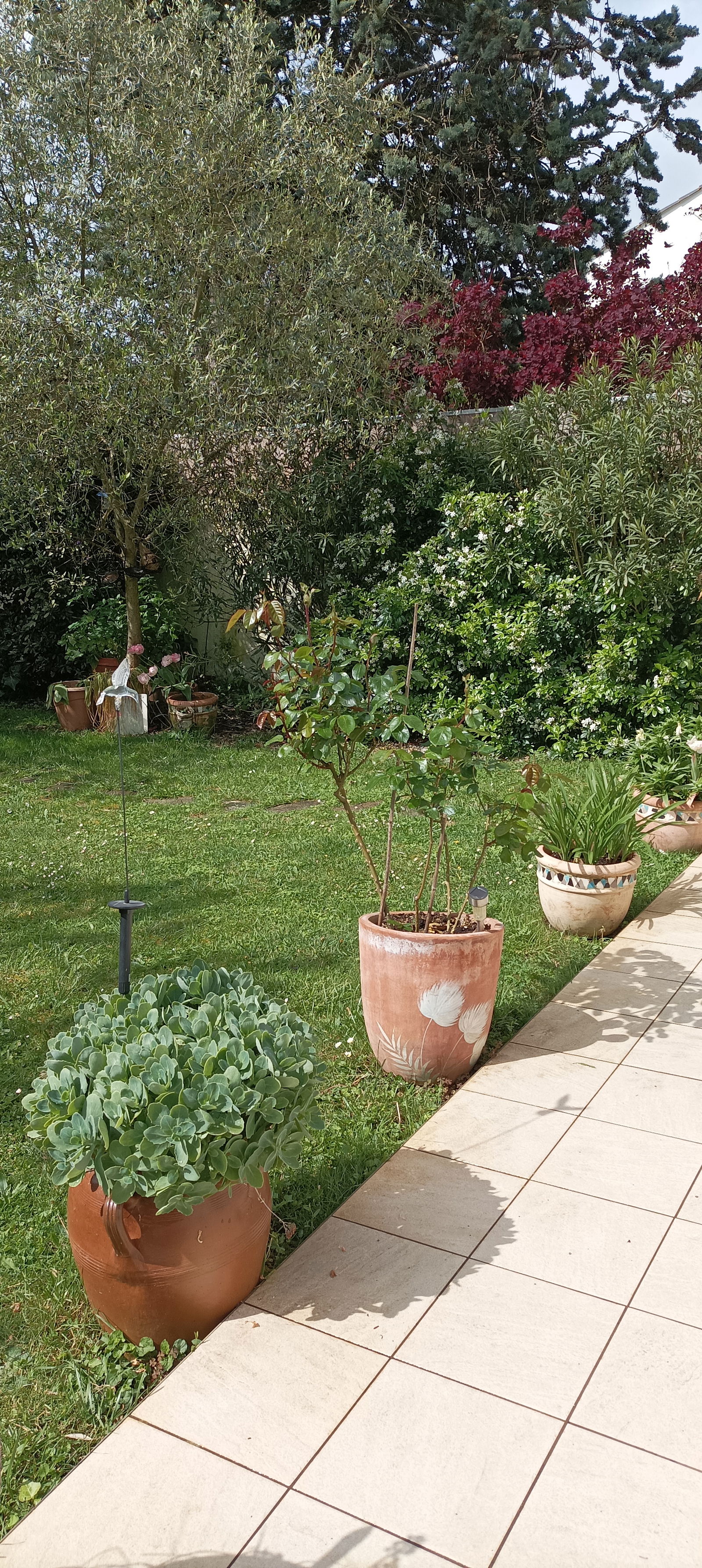 Homestay Poitiers 435969