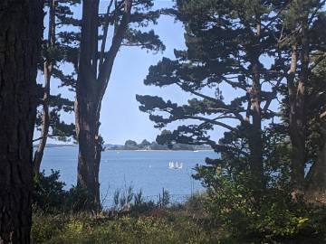 Chambre Chez L'habitant Saint-Nolff 279634-15