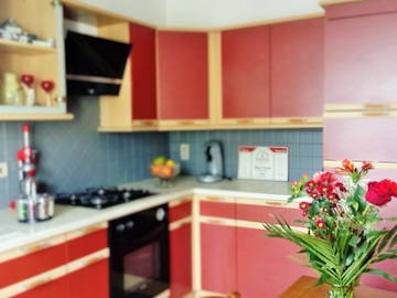 Chambre Chez L'habitant Albi 262956-4