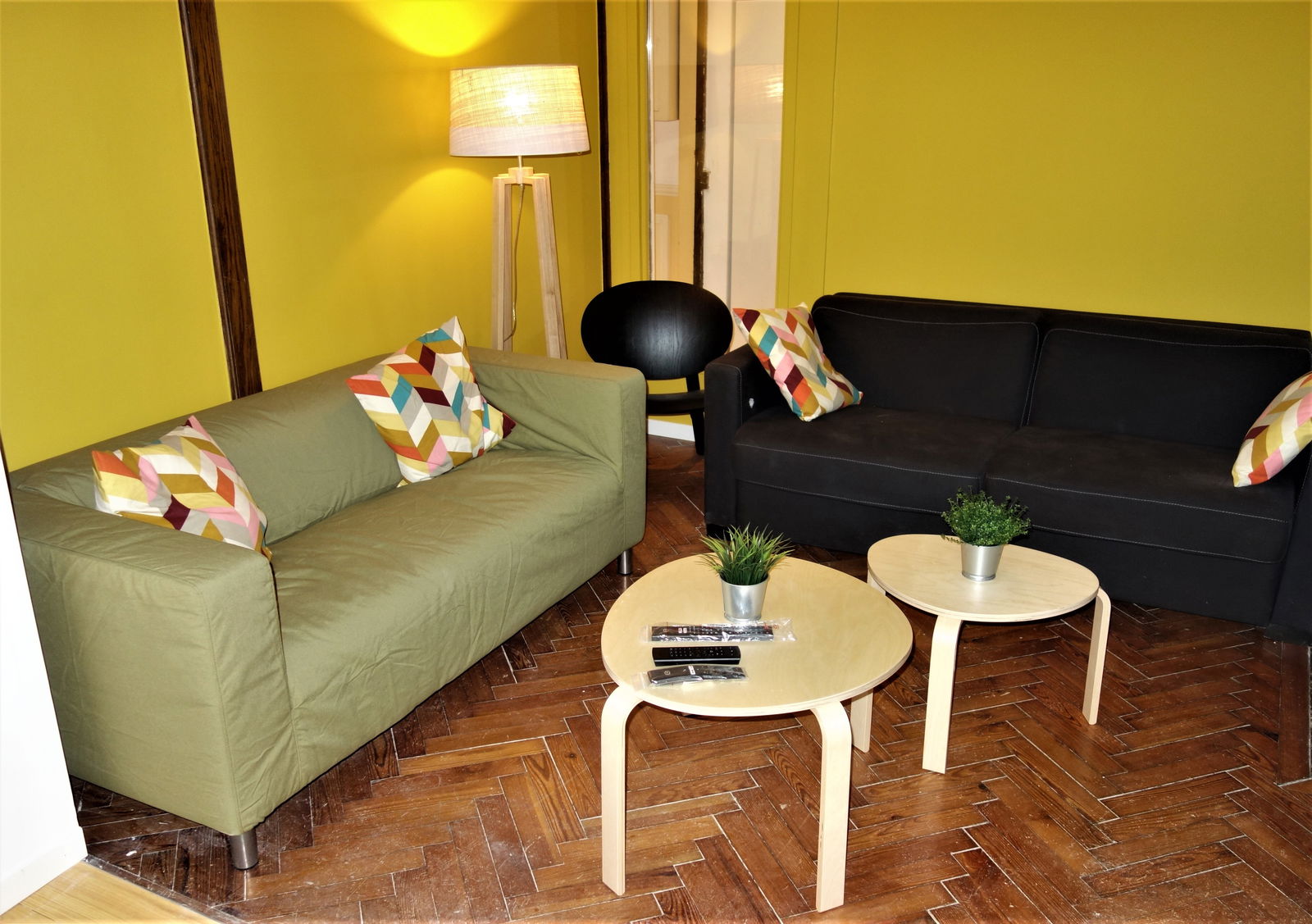 Kolokasie Lille 267577