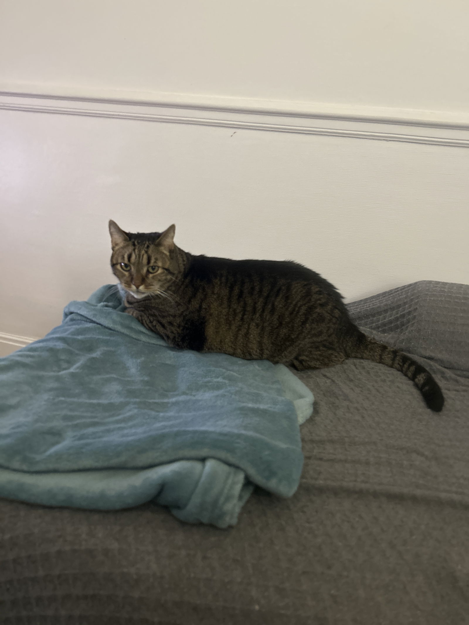 Gastgezin Vichy 629176