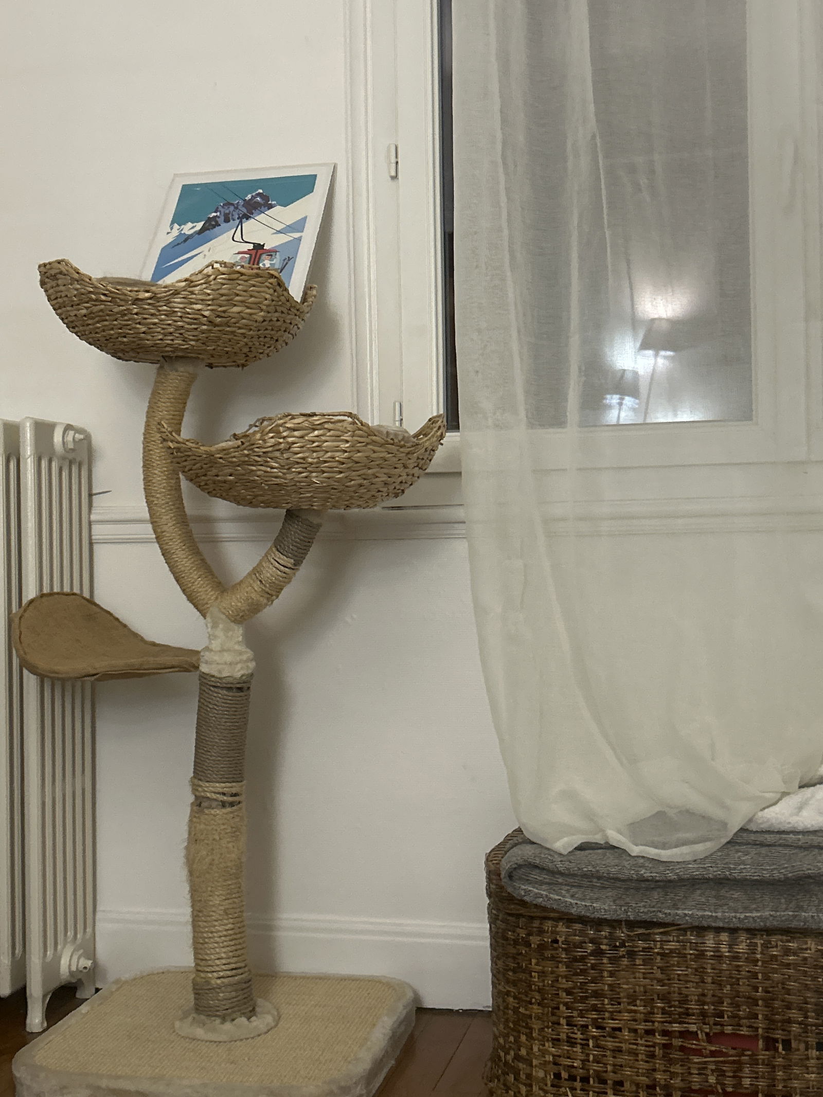 Homestay Vichy 629176