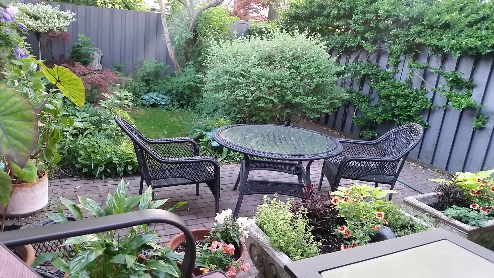 Homestay Toronto 178232