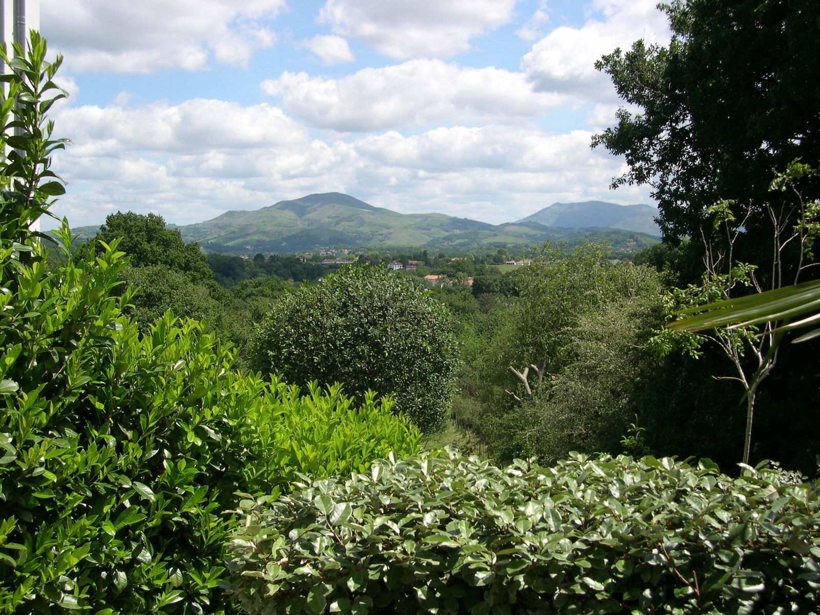 Itsenäinen Studio Larressore 87437