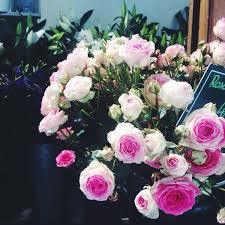 Tutta La Casa Lyon 52846