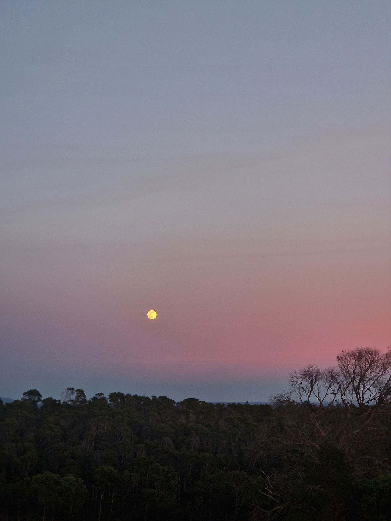 Coliving Barão de São João 538328