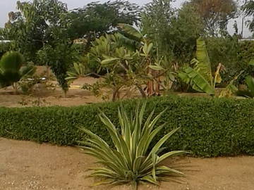 Colocation Mbour 18868-11