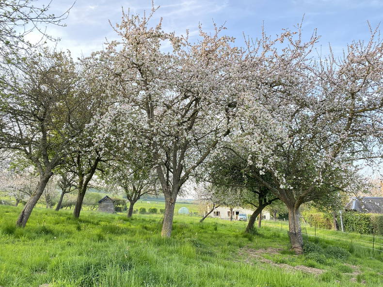 Entire Home Gacé 257258-1