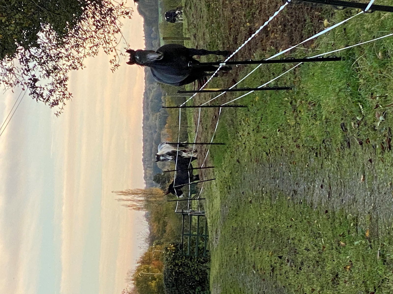 Unabhängiges Studio Gacé 257258