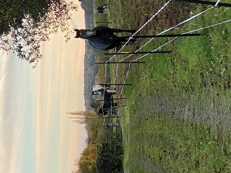 Entire Home Gacé 257258-5