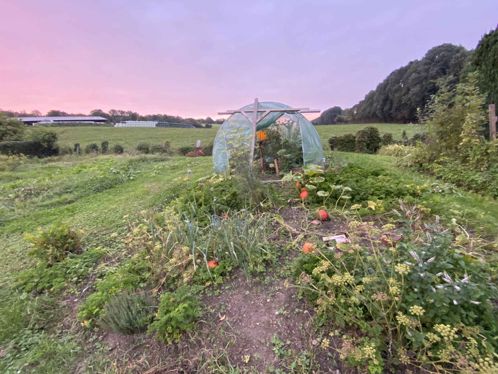 Unabhängiges Studio Gacé 257258