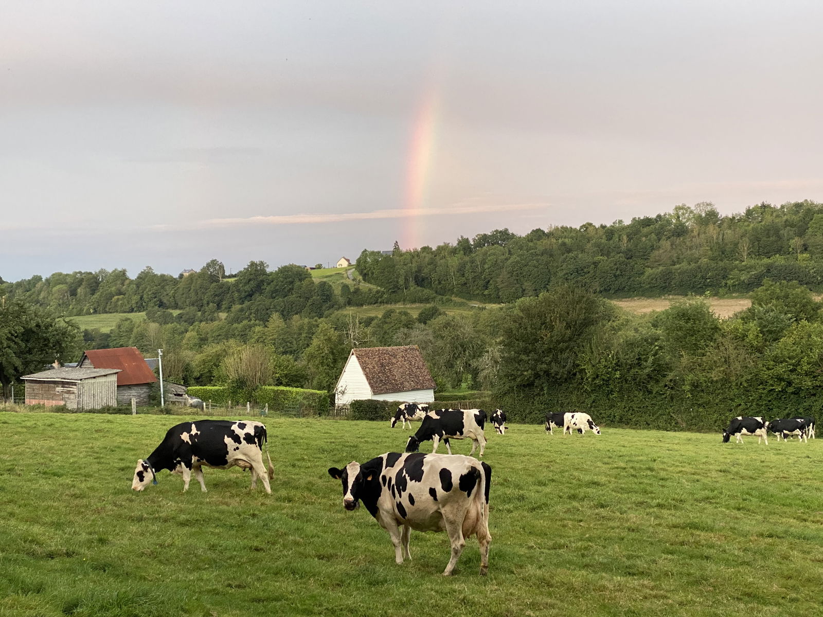 Unabhängiges Studio Gacé 257258