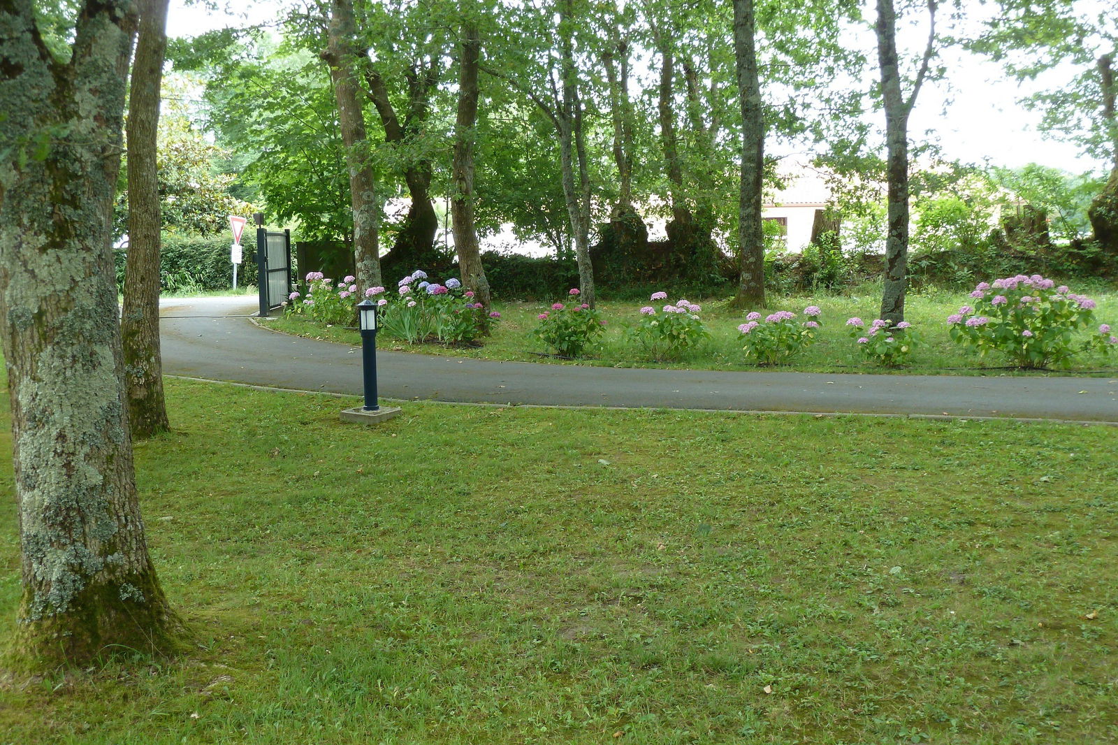 Tutta La Casa Orist 96892