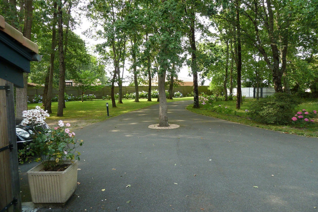 Tutta La Casa Orist 96892