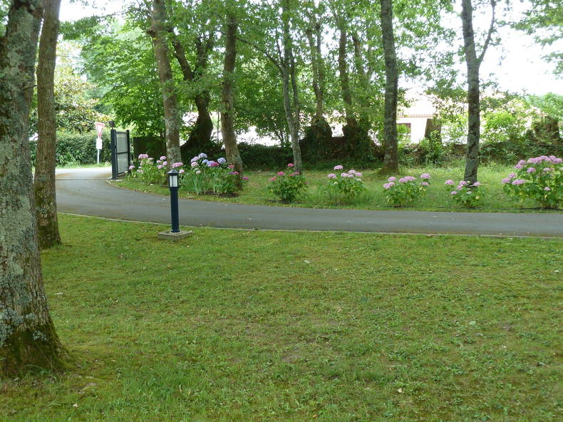 Entire Home Orist 96892-3