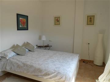 Logement Entier Castalla 47823-8