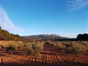 Logement Entier Castalla 47823-9