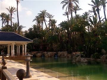 Logement Entier Castalla 47823-10