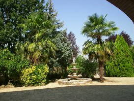 Toda La Casa Pascione-quattro Strade 72537-1