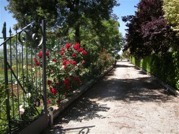 Logement Entier Pascione-Quattro Strade 72537-10