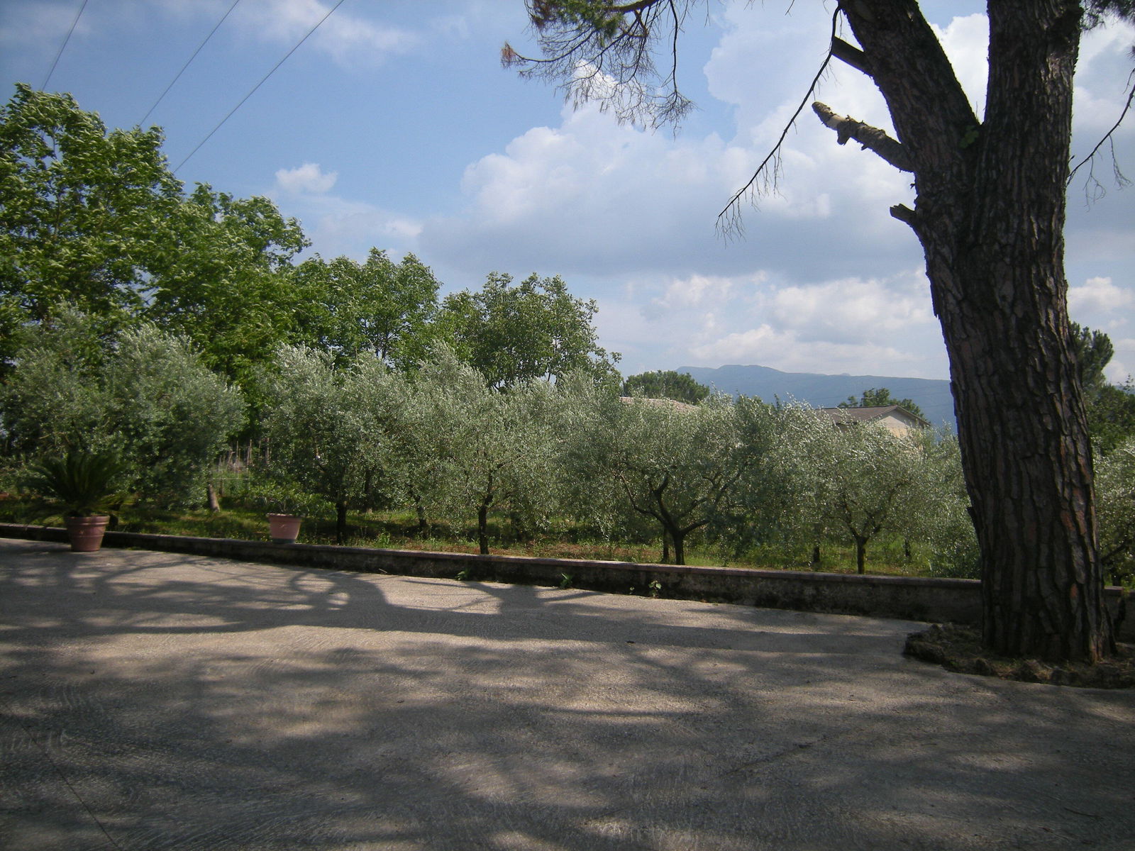 Independent Studio Pascione-quattro Strade 72537